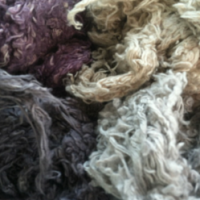 Natural Dyes and Papermaking