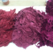 Dyed fibers